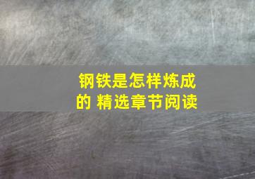 钢铁是怎样炼成的 精选章节阅读